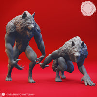Werewolf Bundle by Yasashii Kyojin Studios