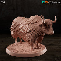 Yak Standing by Atlanticus Arts