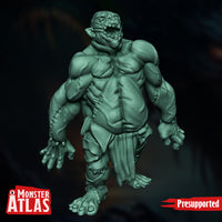 Flesh Golem 01 by Monster Atlas