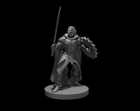 Drow Elite Fighter by MZ4250