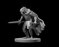 Dragonborn Fighter w/ 2 Weapons by MZ4250