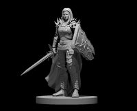 Human Female Paladin Light Paladin by MZ4250