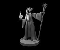 Dragonborn Sorcerer w/ Staff by MZ4250