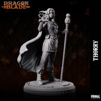 Wizard (Thorry) by Primal Collectibles