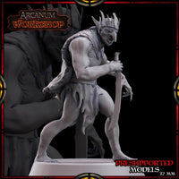 Kucroc the Goblin Assassin by Arcanum Workshop