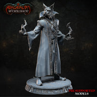 Darius the Cat Sorcerer by Arcanum Workshop