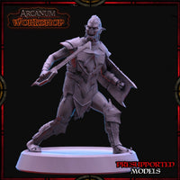 Orc Swordsman by Arcanum Workshop