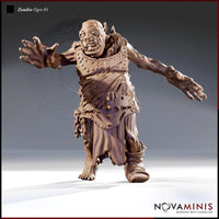 Zombie Ogre by Novaminis