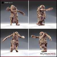 Zombie Ogre by Novaminis