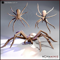 Giant Recluse Spider 01 by Novaminis