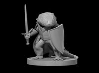 Dragonborn Fighter Bearded by MZ4250