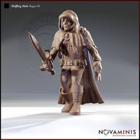 Rogue 02 by Novaminis