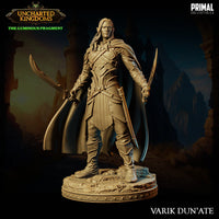 Drow Fighter / Rogue (Varik) by Primal Collectibles