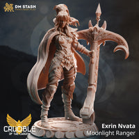 Moonlit Ranger (Exrin Nvata) by DM Stash