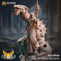 High Elf Chaos Sorcerer (Karydian) by DM Stash