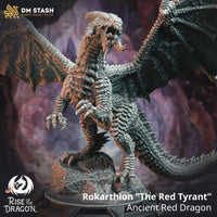 Red Dragon (Rokarthion - The Red Tyrant) by DM Stash