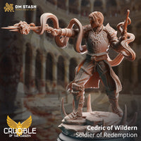 Solider / Gunslinger (Cedric of Wildern - Soldier of Redemption) by DM Stash