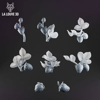 Small Strawberry Plants Set by La Louve 3D