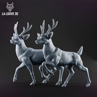 Deer Bundle by La Louve 3D