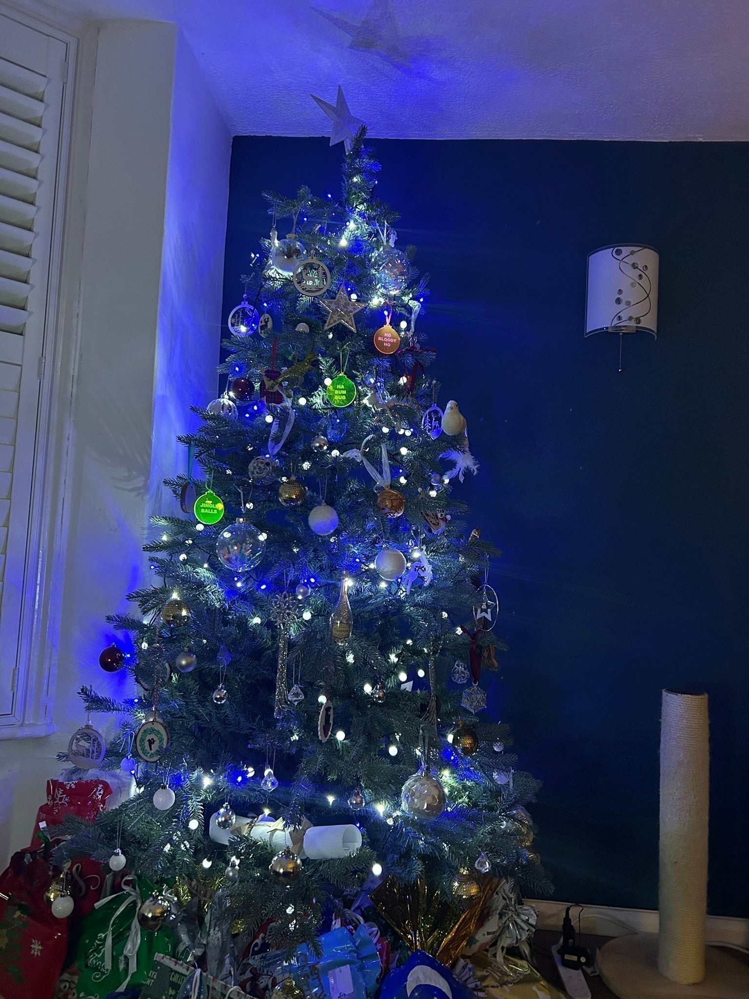 Looking Back at 2025