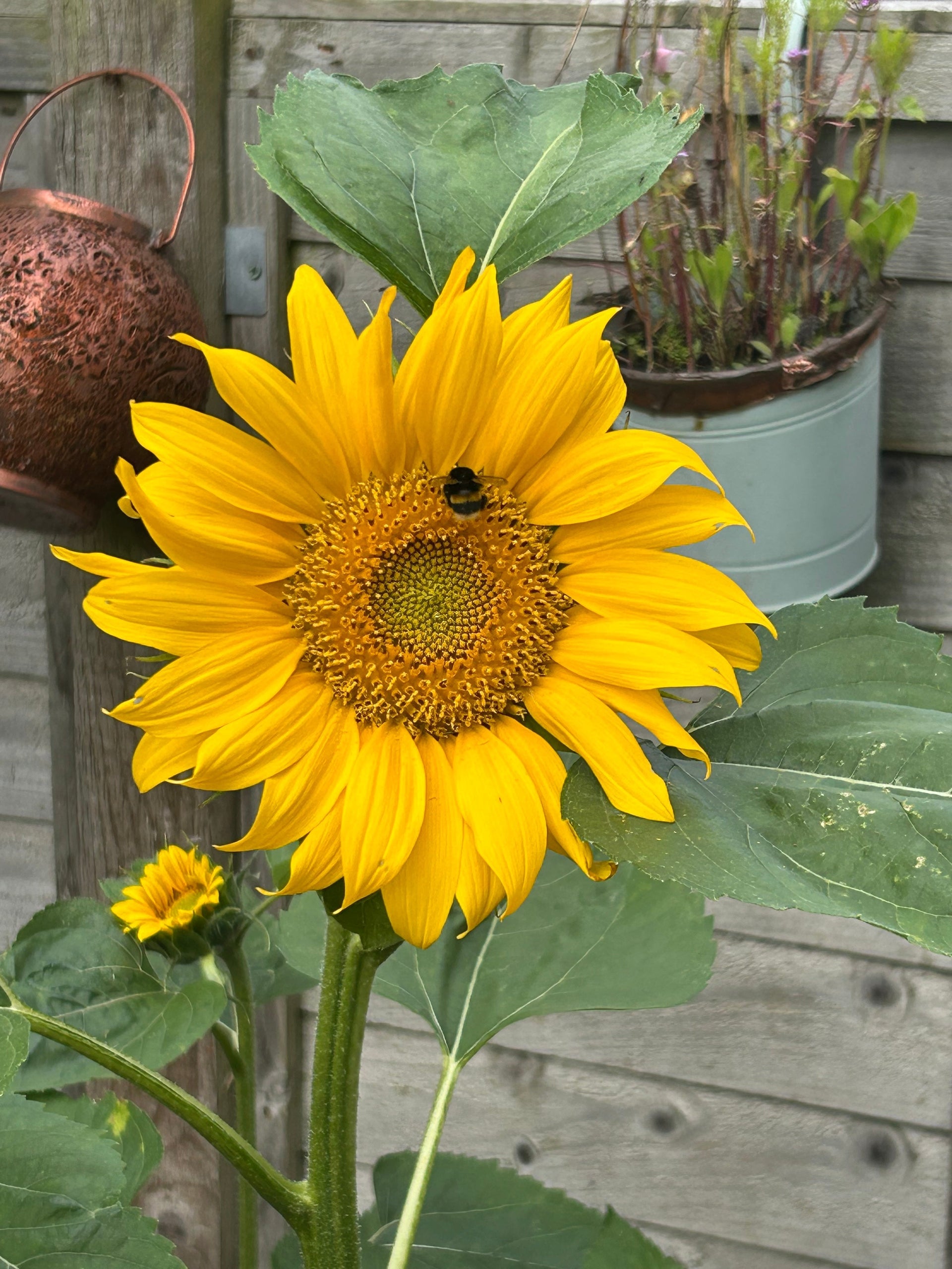 Latest Summer Buzzzz