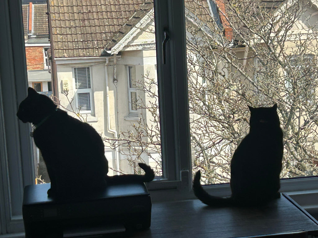 Belated Spring Update
