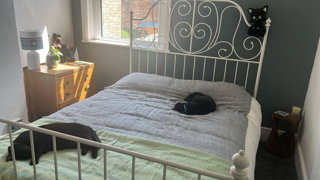 Summer Update - Various Happenings