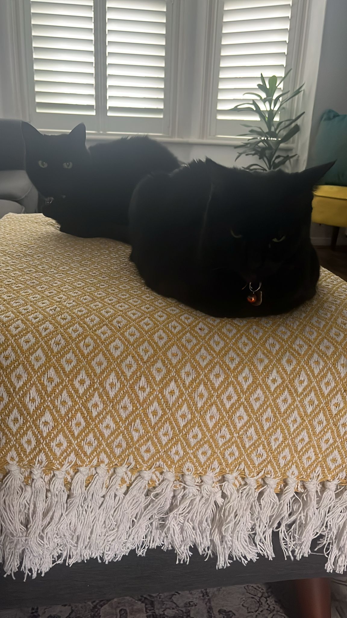 So Much New Stuff Already in 2026!