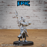 Female dark elf sorceress miniature facing forward, raising a long barbed spear overhead, wearing layered plate armour with feathered pauldrons and a flowing tabard, hair tied in a high ponytail. Sculpt by Epic Miniatures.
