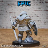 Dwarf warrior seen from behind, showing broad plate pauldrons over a detailed chainmail hauberk and mail skirt, spear tip visible over the right shoulder, round shield carried on the left arm. Sculpt by Epic Miniatures.
