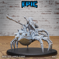 Drider Folk Spearman by Epic Miniatures — rear view showing a sword hilt rising above the rider's back, scale armour detail, flowing hair, and the spider body's broad fanged head with compound eyes and heavy chitin-plated abdomen visible.