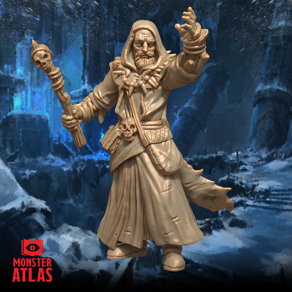 Northern Wizard by Monster Atlas