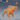Digital render of the Arctic Boar miniature by Epic Miniatures — a large tusked boar in a charging pose with armoured spines along its back, wide clawed feet, and a maw open in aggression. Shown in unprinted resin orange-brown with a scale reference die and rear-view inset. Labelled SIZE: LARGE.