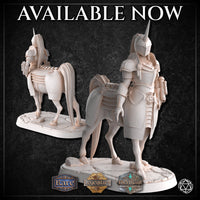 Centaur Knight Artificer Casual by Mia Kay M3DM
