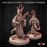 Digital render showing front and rear views of an unpainted Female Dragonborn Druid miniature. She wears flowing robes with a large bow at the back, holds a flowering staff, and has branching antlers covered in cherry blossoms rising from her draconic skull. The base features succulents and crystal formations.