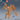 Digital render of an Ice Mephit miniature by Epic Miniatures — a medium-sized winged elemental creature with angular bark-and-ice textured skin, broad feathered wings, and a jagged bow-like stave held two-handed across the body. Two views shown side by side with a d20 for scale reference. 32mm tabletop miniature, unpainted resin.