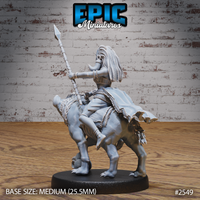 Tribal spear-wielding warrior riding a heavy-set hyena, seen from behind — tattered cloak billowing, chain collar and spiked neck detail visible on the beast. Sculpt by Epic Miniatures.