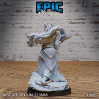 Dragonborn priest viewed from behind, revealing layered robe panels with carved decorative detailing, a belted waist, armoured ankle wraps, and a draconic horned helm, holding a spellbook at the hip. Sculpt by Epic Miniatures.