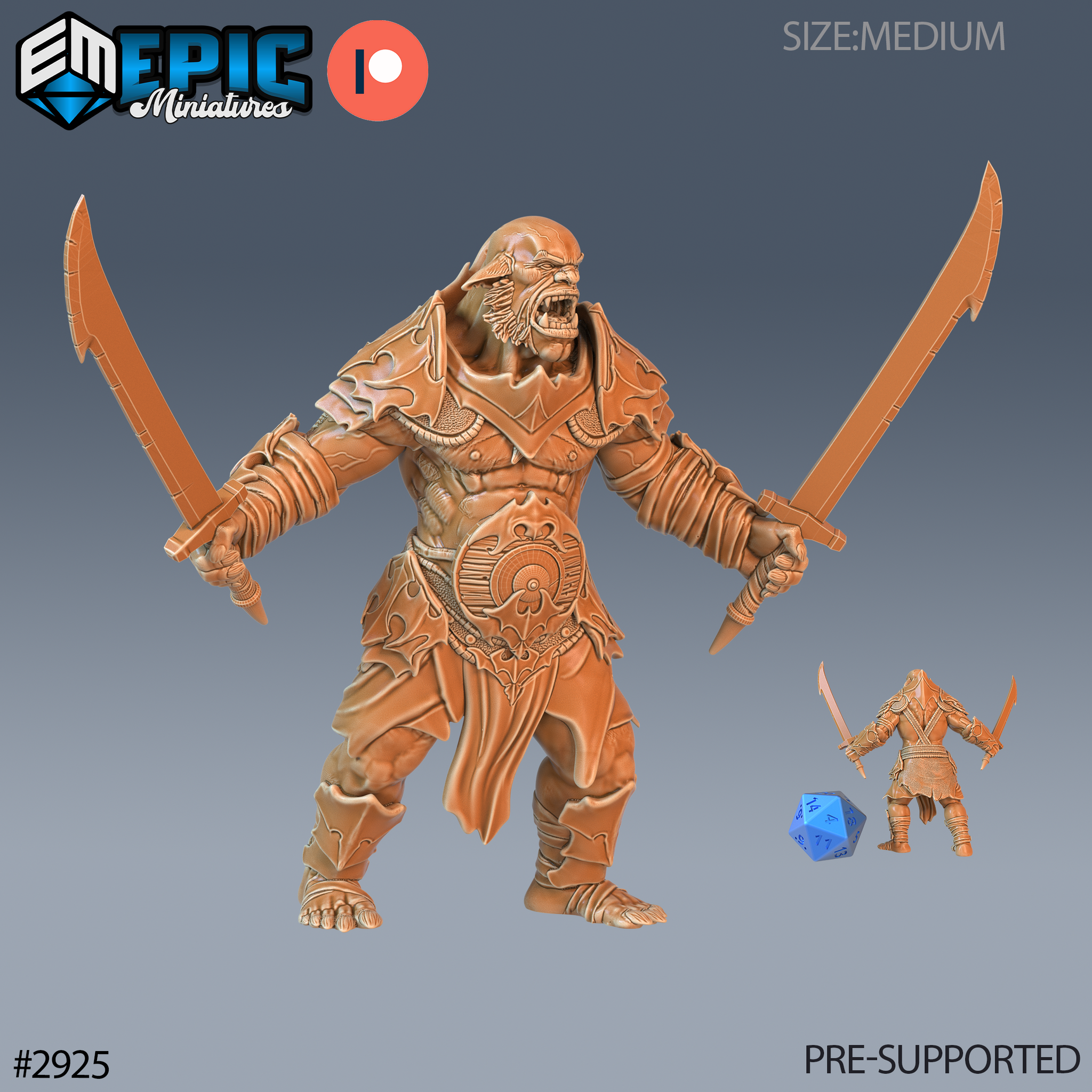 Digital render of an unpainted hobgoblin gladiator miniature in terracotta resin tone, dual-wielding long curved blades with arms spread wide in an aggressive stance, wearing layered shoulder armour, decorated bracers, and an ornate belt, mouth open in a battle roar, shown alongside a 32mm scale reference figure and a blue d20