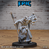 Half-dragon sorcerer miniature leaning into a casting pose, staff raised in one hand, draconic fire-head surging beside him with jaws wide open. Dragon sigil visible on robe panel. Epic Miniatures.