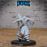 Rear view of a half-dragon sorcerer miniature in flowing robes with scroll-trim, raising a clawed hand. A large draconic fire-breath head erupts beside him. Staff held aloft. Epic Miniatures.