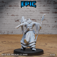 Rear view of a half-dragon sorcerer miniature in flowing robes with scroll-trim, raising a clawed hand. A large draconic fire-breath head erupts beside him. Staff held aloft. Epic Miniatures.