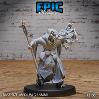 Half-dragon sorcerer in hooded robe, staff raised, fire-breathing dragon head sculpted beside him with open jaws. Clawed feet, scaled forearms, and ornate robe trim clearly visible. Epic Miniatures.