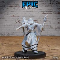 Half-dragon sorcerer miniature with horned draconic head, wielding a tall staff with flame finial, robes embossed with dragon motif, accompanied by a large sculpted fire-breath effect. Epic Miniatures.
