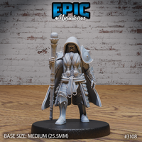 Stocky dwarf cleric gripping an orb-topped staff, wearing layered robes over plate armour with a chainmail hood framing a broad bearded face. Tasselled rope-work at the waist. Epic Miniatures sculpt.