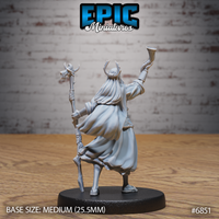 Druid in horned helm seen from behind, long hair cascading down his back, staff held low at his side, one arm raised with drinking horn, flowing robes with fine fabric detail. Sculpt by Epic Miniatures.