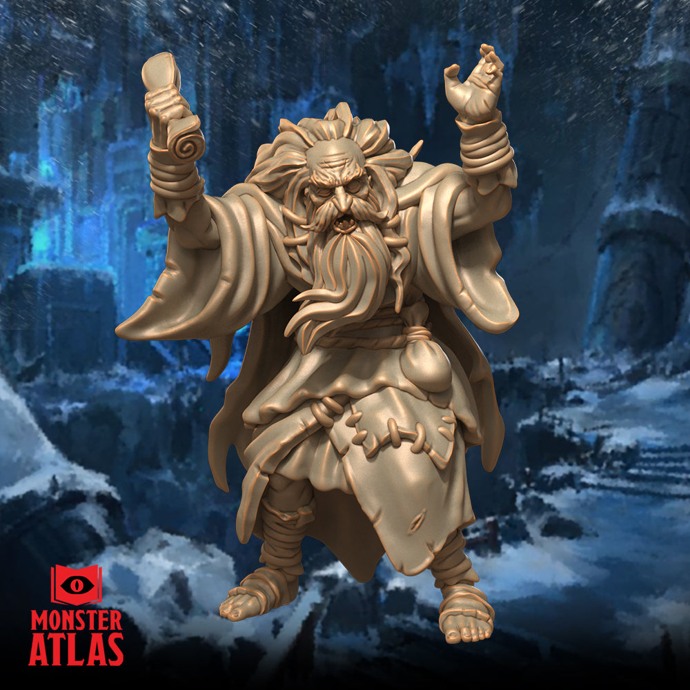 Northern Mad Scholar (Elric) by Monster Atlas