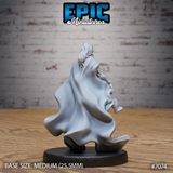 Vampire sorcerer seen from behind, long hair falling over a sweeping full-length cloak with deep, flowing folds that trail across the base. Sculpt by Epic Miniatures.