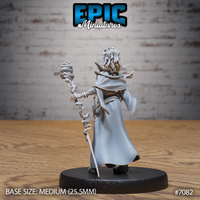 Female vampire sorceress seen from behind, long curly hair and billowing robes visible, holding a gnarled staff coiled with jagged magical energy tendrils, a short blade at her hip. Sculpt by Epic Miniatures.