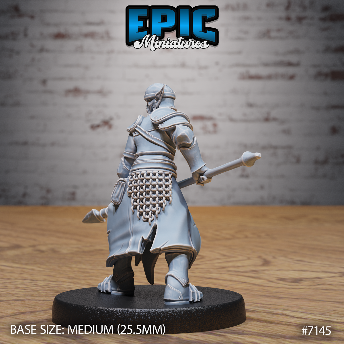 Zombie drow lancer seen from behind, revealing a chainmail skirt, back-strapped scabbard, layered shoulder armour, and tattered robes at the hem. The spear extends low behind the figure. Sculpt by Epic Miniatures.